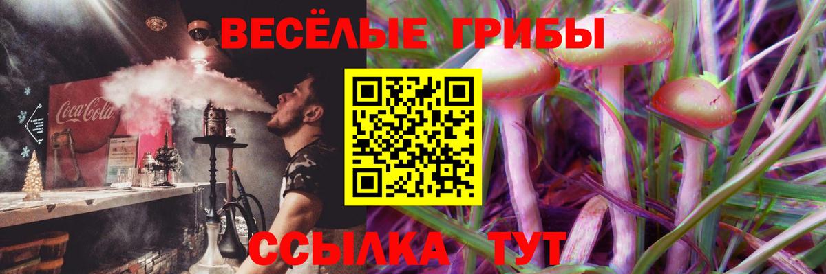 Галлюциногенные грибы Psilocybe Урай